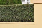 Boorcanhard-landscaping-surfaces-8.jpg; ?>
